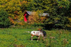 2024 Autumn in Vermont Calendar -May 2024-Northfield Vermont