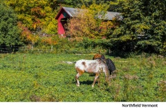 2024 Autumn in Vermont Calendar -May 2024-Northfield Vermont